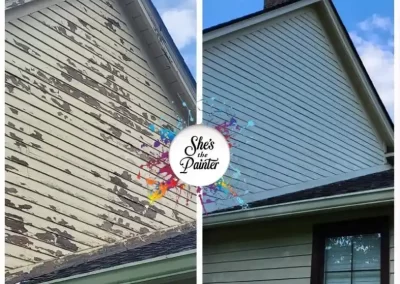 Expert House Painting Services