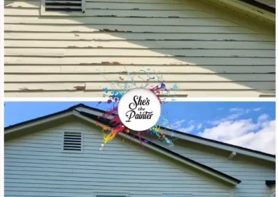 Expert House Painting Services