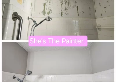 Expert House Painting Services