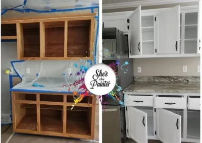 Professional Residential Painter