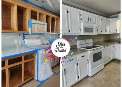 Skilled Professional Painter